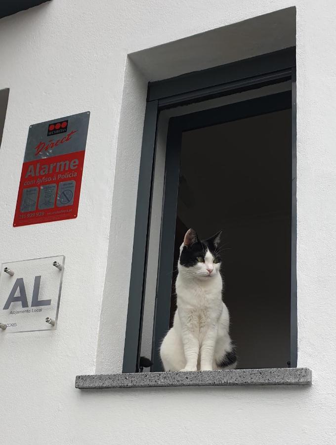 Caminhos Nos Levam Pela Ilha Apartment Ponta Delgada  Luaran gambar