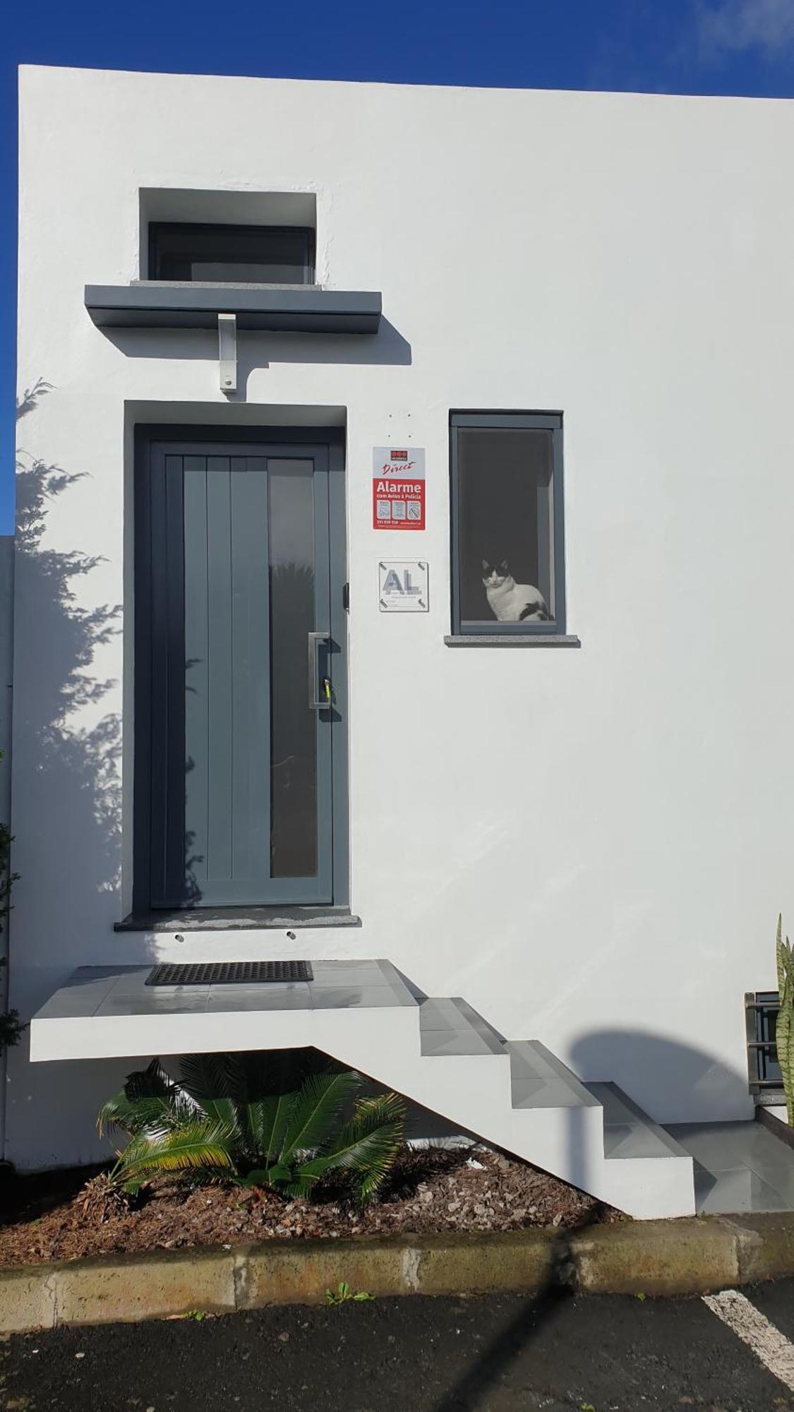 Caminhos Nos Levam Pela Ilha Apartment Ponta Delgada  Luaran gambar